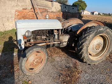 Trattore massey ferguson TEF