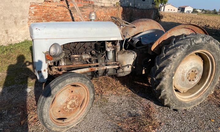 Trattore massey ferguson TEF