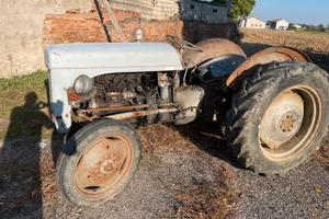 Trattore massey ferguson TEF