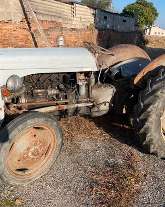 Trattore massey ferguson TEF