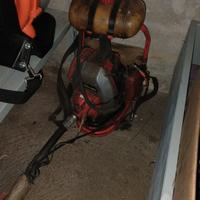 Decespugliatore spalleggiato (prezzo da concordare