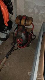 Decespugliatore spalleggiato (prezzo da concordare