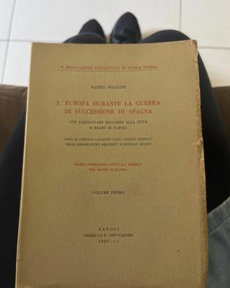 L l’Europa durante la guerra di successione di spa