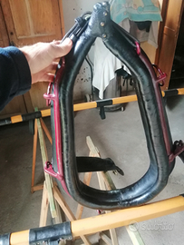 Collare in cuoio per cavallo