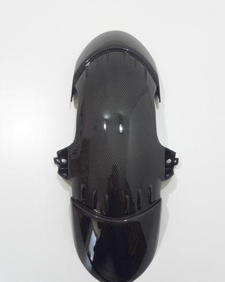PARAFANGO ANTERIORE CARBONIO BMW S1000XR MY 2020 2