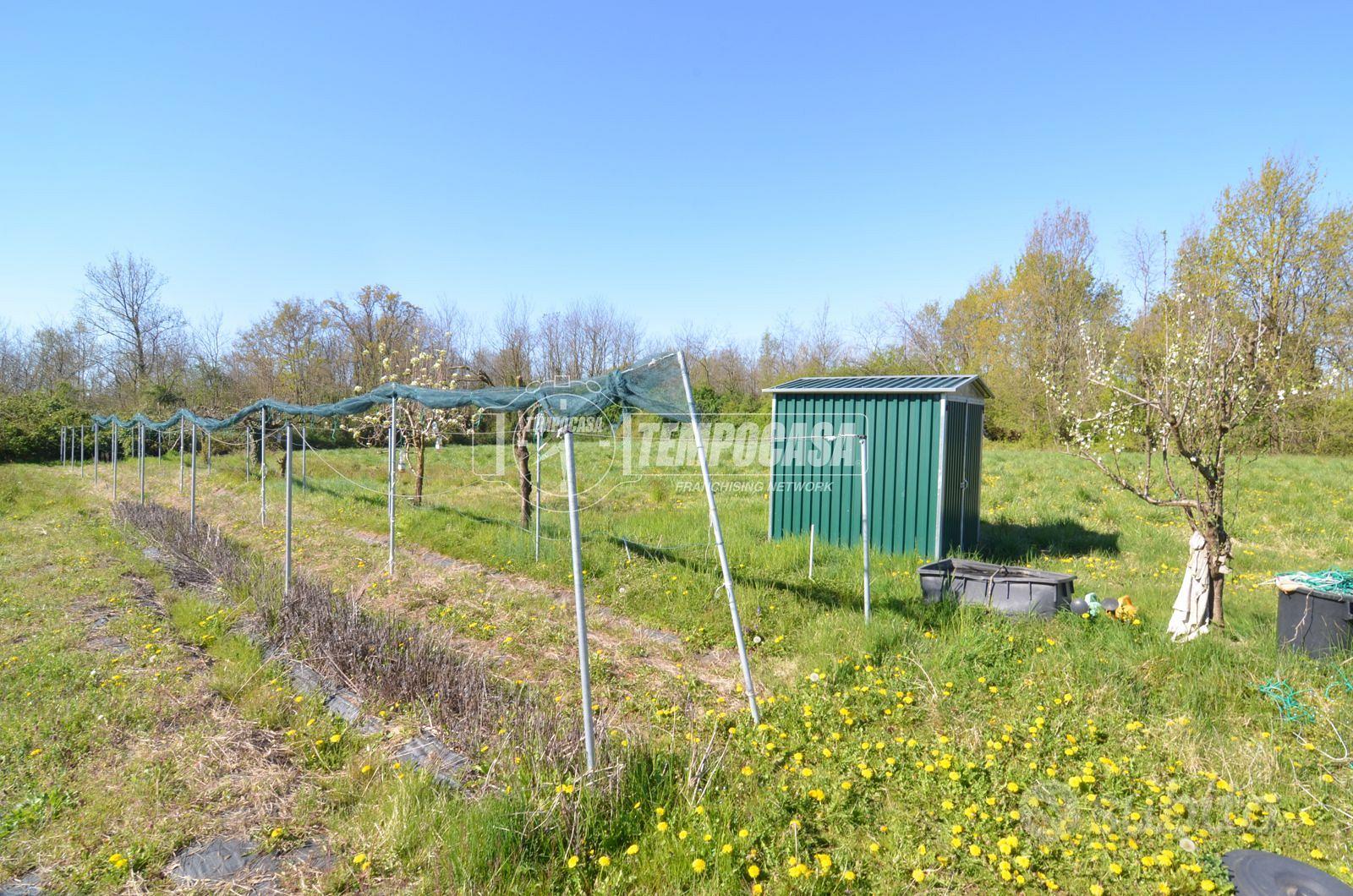 TERRENO AGRICOLO A RIVAROSSA - Vista 3