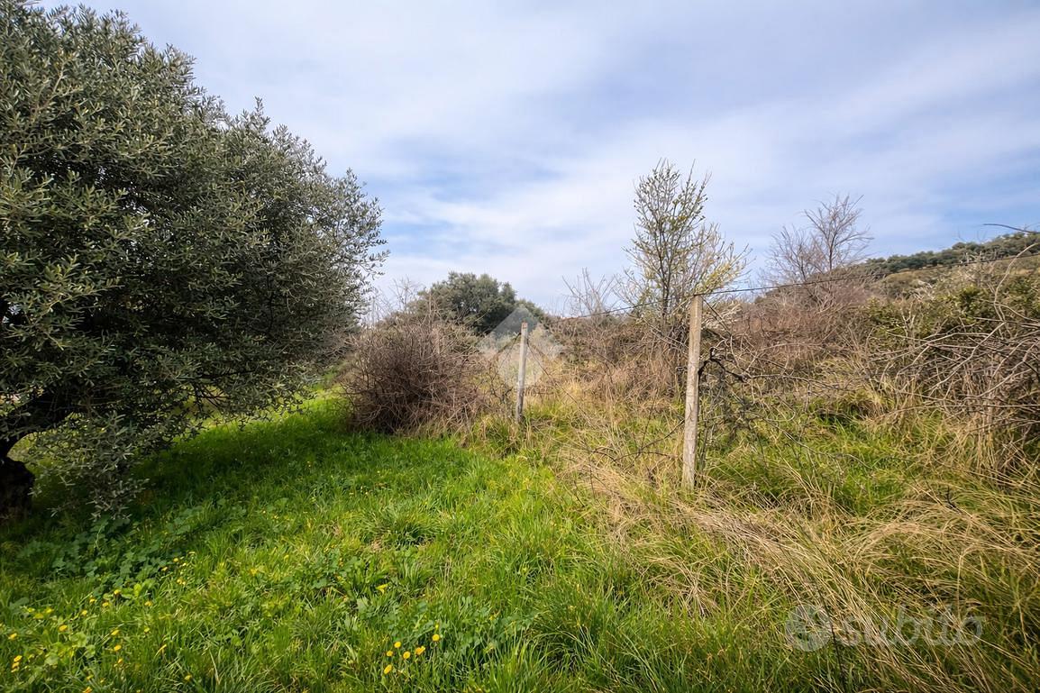 TERRENO A SILVI - Vista 4