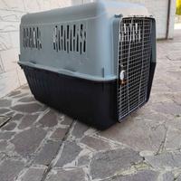 Scatola IATA di Transporto per Cani