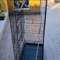 voliera per uccelli 