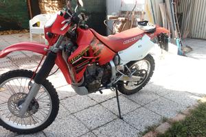 Honda Dall'Ara XR 650 Re - 2007
