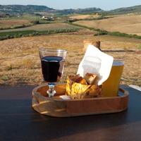 Casa relax nel verde di bibbona