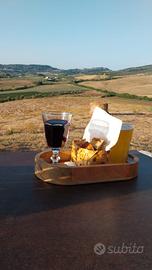 Casa relax nel verde di bibbona