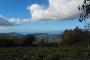 Mercato Cilento terreno con rudere panoramicissimo