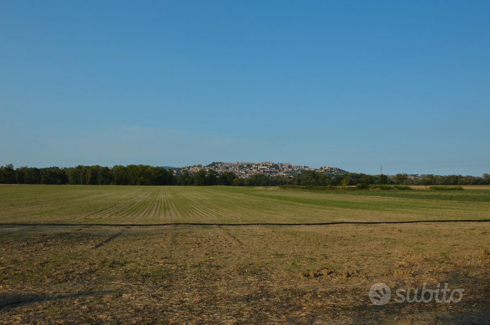 Terreno agricolo cod. N.828 - Vista 4