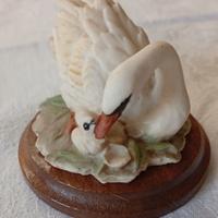 cigno" Capodimonte "