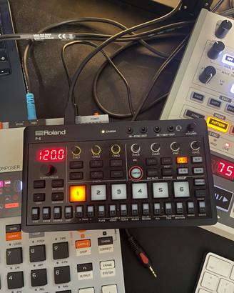 Roland p6