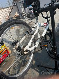 Bmx black shark