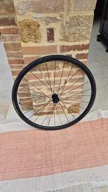 Ruota anteriore Shimano RS
