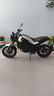 benelli-leoncino-250
