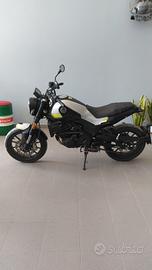 Benelli Leoncino 250