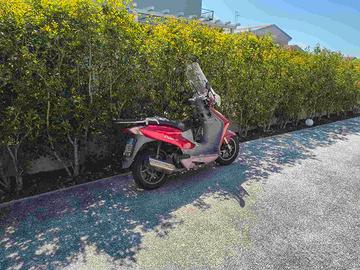 Honda Dylan 150 del 2004