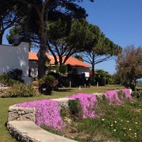 Letteralmente sul mare