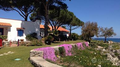 Letteralmente sul mare