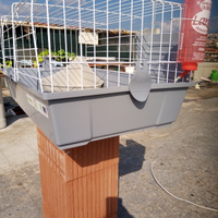 Gabbia x coniglio come nuova