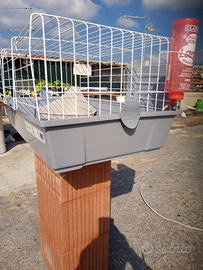 Gabbia x coniglio come nuova