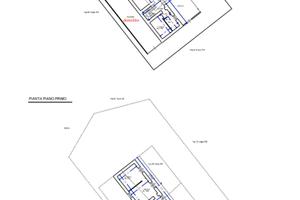 Casa indipendente con uliveto