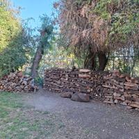 Boscaiolo e Giardiniere. Potature/ Spacco legna