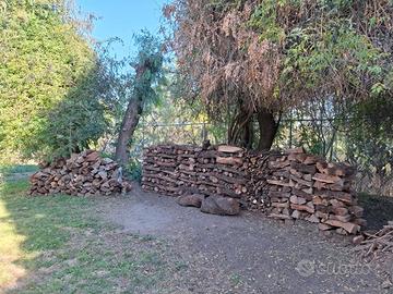 Boscaiolo e Giardiniere. Potature/ Spacco legna