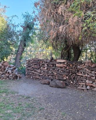 Boscaiolo e Giardiniere. Potature/ Spacco legna