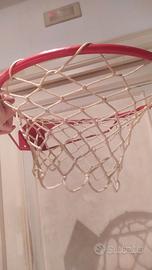 Canestro regolamentare