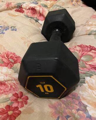Manubrio 10 kg