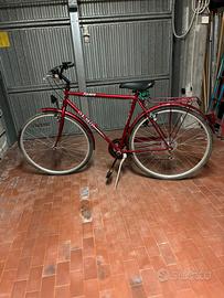 bici uomo olmo Riviera 