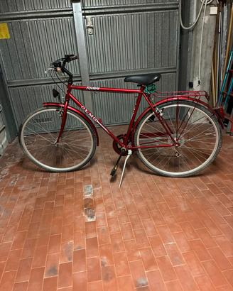 bici uomo olmo Riviera 
