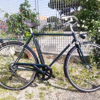 Bici da passeggio vintage trekking