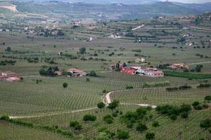 Terreno a Soave (VR)