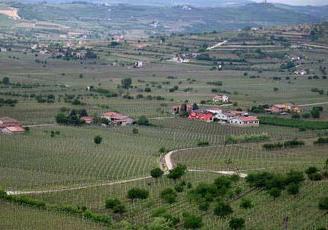 Terreno a Soave (VR)