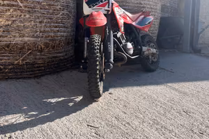 Beta 50 r10