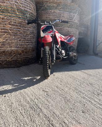 Beta 50 r10