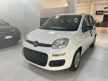 FIAT Pandina 1.0 firefly hybrid Icon