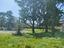 Immagine 26