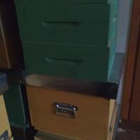 Arnie e melari per api