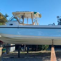 Boston Whaler 290 Outrage Fishing
