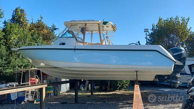 Boston Whaler 290 Outrage Fishing