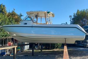Boston Whaler 290 Outrage Fishing