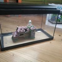 Acquario 20 L