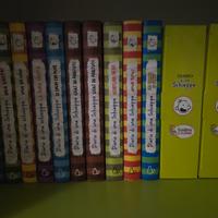 Diario di una schiappa 1 a 9 + cofanetti extra 